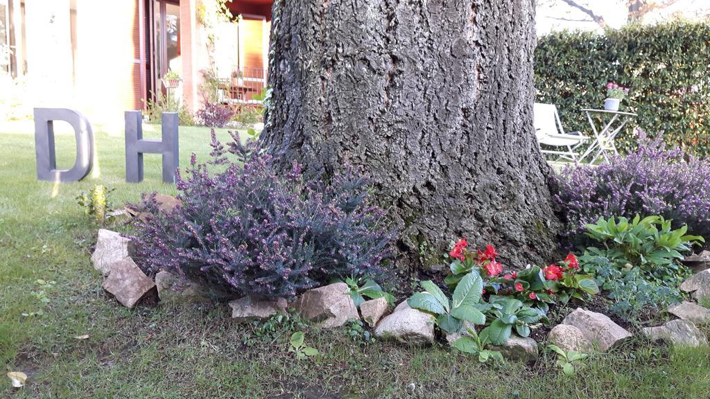 B&B Douglas House Varese Exteriör bild